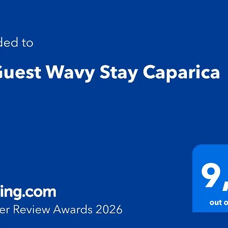 Beguest Wavy Caparica
